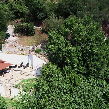 Holiday Home La Musica Budva Buitenkant foto