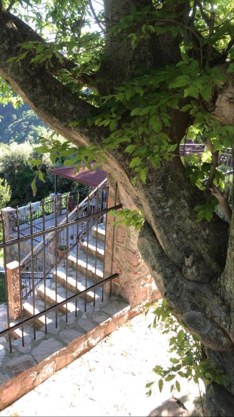 Holiday Home La Musica Budva Kamer foto